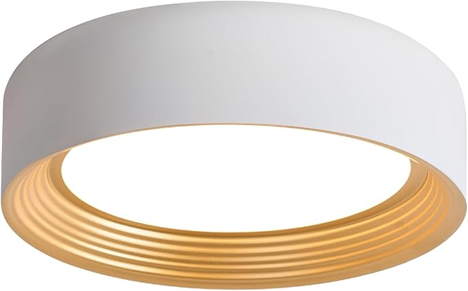 Dimmable Modern LED Flush Mount Ceiling Light,11.8 Inch 5CCT 24W/3000K-6000K,Minimalist Round White and Gold Close to Ceiling Lighting Fixtures for Kitchen,Hallway,Laundry Room,Entryway,Porch