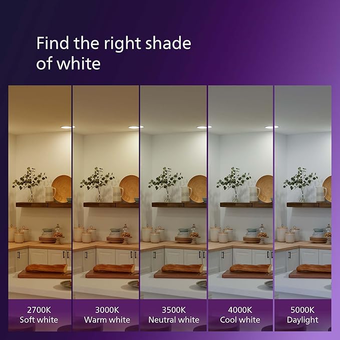 PHILIPS LED 40W A19 8-Pack Ultra Definition Daylight (5000K) 450 Lumen (5W = 40W) Dimmable Frosted Flicker-Free Light Bulbs