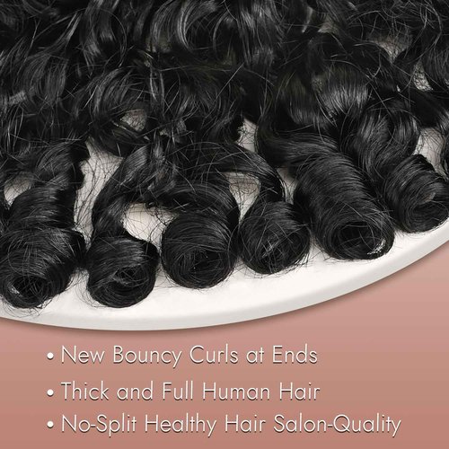 UREMY Bouncy Curly Wigs Human Hair, 13x4 Lace Front Burmese Curly Bob Wig for Black Women, Water Wave Pre Plucked Transparent Lace, Natural Black, 14 Inch, 180% Density