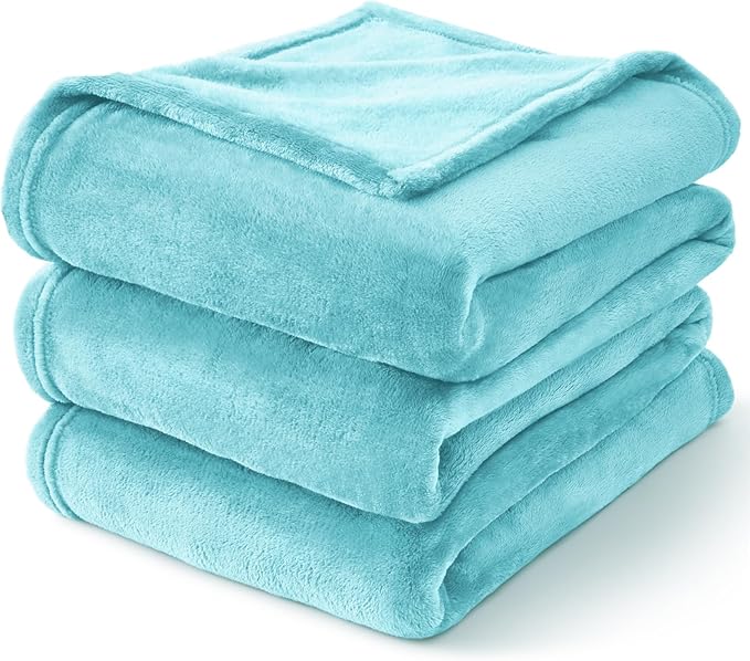 BEDELITE Fleece Blanket Twin Size Light Blue Throw Blankets for Couch & Bed, Luxury Plush Cozy Fuzzy Blanket 60x80 inches, Super Soft Warm Lightweight Throw Blanket for Travel Camping