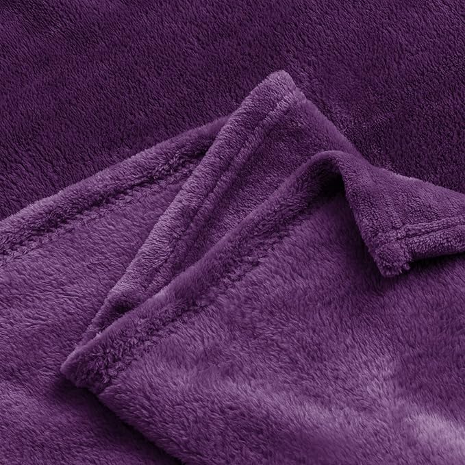 BEDELITE Fleece Blanket Twin Size Purple Throw Blankets for Couch & Bed, Luxury Plush Cozy Fuzzy Blanket 60x80 inches, Super Soft Warm Lightweight Throw Blanket for Travel Camping