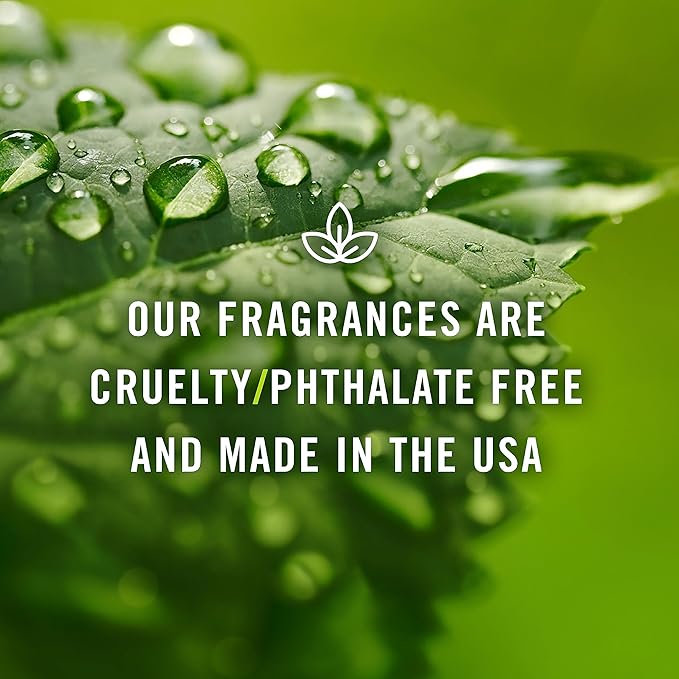 P&J Trading Fragrance | Coffee Oil 100ml - Candle Scents for Candle Making, Freshie Scent, Soap Making Supplies, Diffuser Oil Scents