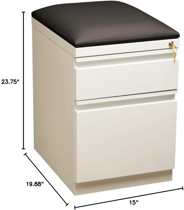 Pemberly Row 2-Drawer Metal Mobile Pedestal File Cabinet in White/Black