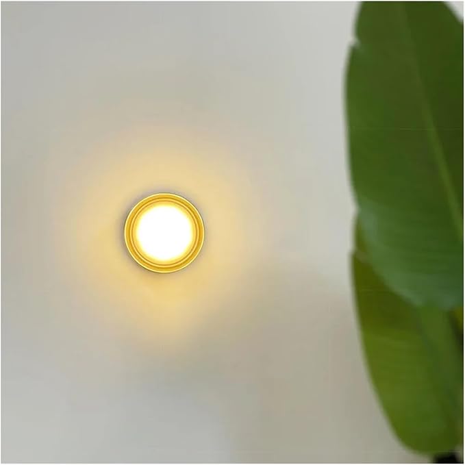 Modern LED Wall Lamp - Amber Jelly Decor Sconces for Living Room, Dining Room, Corridor & Study - Stylish Smokey Grey Home Lighting Fixture
