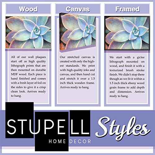 Stupell Industries Eyebrows Fashion Modern Black and White Word Design