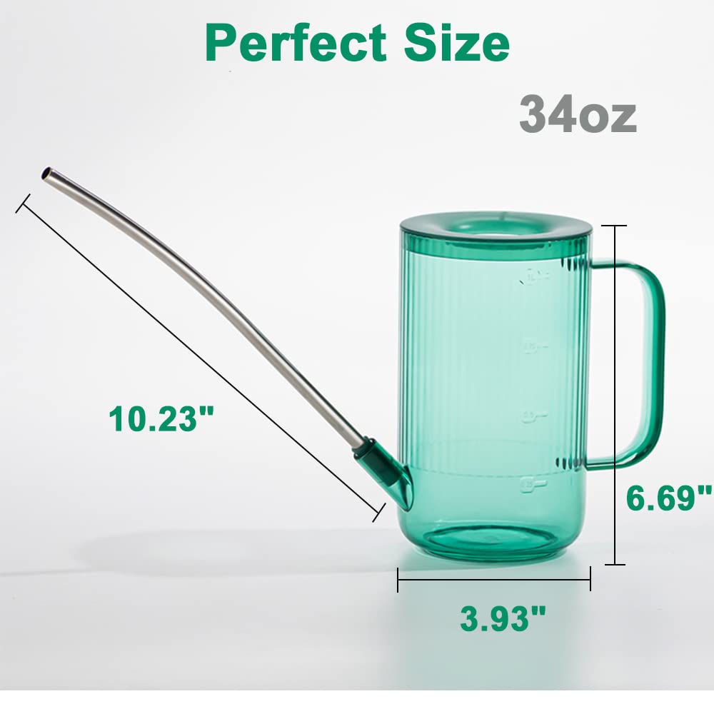 Long Spout Watering Can Indoor, Small Watering Cans for House Plants, Flowers, Succulents 33.8oz(Green)
