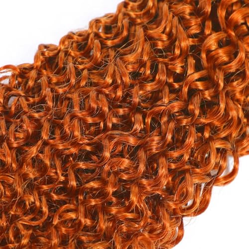 #350 Ginger Orange Jerry Curly Human Hair Bundles 3 Bundles Kinky Curly Hair Brazilian Virgin Human Hair Extensions Unprocessed Hair Bundles for Women 24 26 28 Inch
