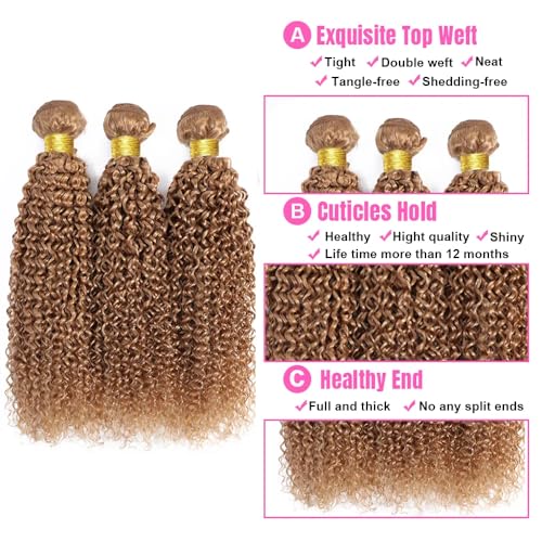 22 24 26 Inch Color 27 Bundles Human Hair Honey Blonde Curly Bundles Brazilian Unprocessed Virgin Hair 3 Bundles Color 27 Kinky Curly Bundles Human Hair
