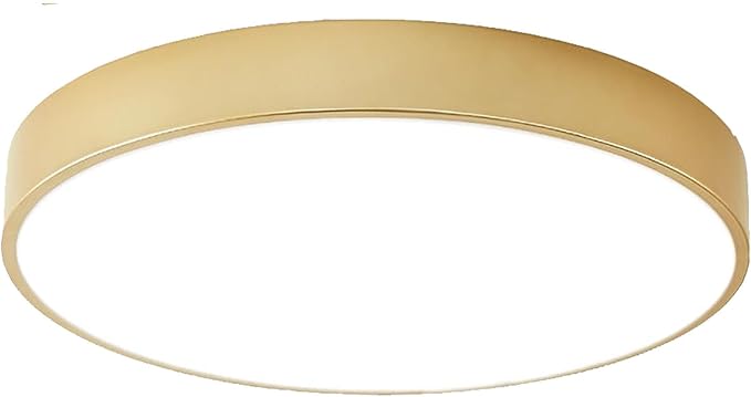 Flush Mount Ceiling Light Gold 12 Inch LED Dimmable Ceiling Light 24W 5CCT(2700K-5000K) Bedroom Lamp Entryway for Bedroom Foyer Kitchen Entryway Closet Hallway