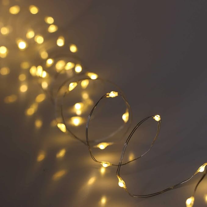 QBIS Warm White Fairy Lights Battery Operated With Timer Mode, 40 Micro LED for Mason Jars, 6.5ft Silver Wire Indoor Use