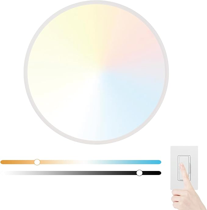 20 Inch Large LED Flush Mount Ceiling Light Fixture,45W,4600LM,3000K/4000K/6000K CCT Selectable,0.9 inch Super Slim Round Ceiling Light for Bedroom,Hallway,Kitchen (Dimmable White 1PK)