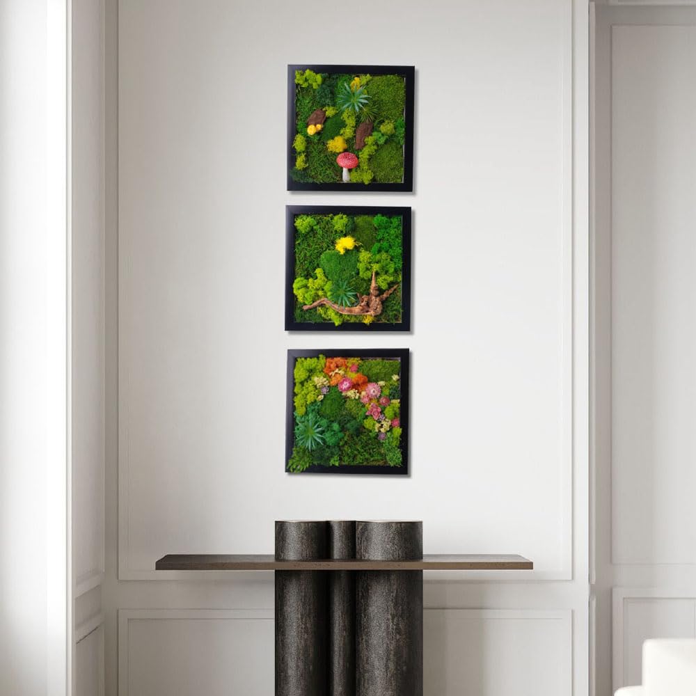 ACADOIT Moss ArtsFrame Crafts for Adults, 11" Home Office Decor Living Wall Hanging Decor"