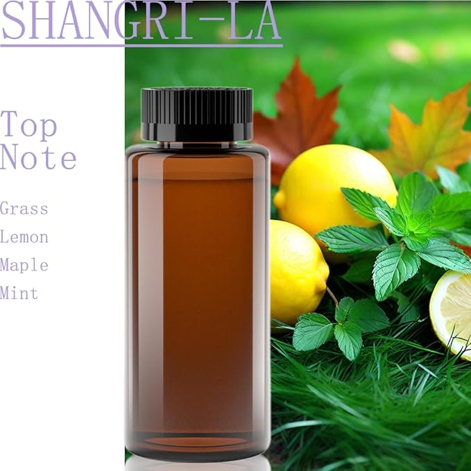 Fragrance Scent Diffuser Genuine Oil - DIFFMELY, Original Bottle for Waterless Diffuser, 7 Fl Oz 207ml, Less Than 0.55 Cost per Day, Fragrance Oil, Type Shangri-La
