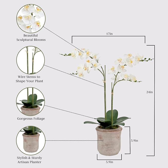 CG Hunter Faux White Orchid Plant, Premium Artificial Indoor Flower Display Stands 24”, Beautiful Sculptural Blooms That Lasts Forever, Grey Planter Pot Included