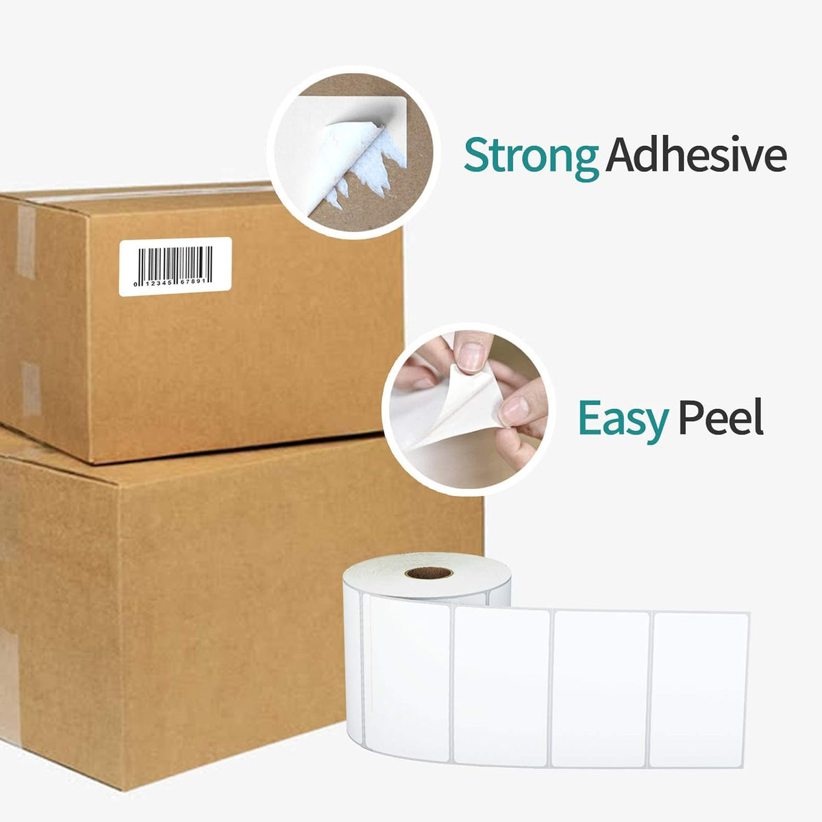 3-Proof 2"x1" Direct Thermal Barcode Labels Rolls for Zebra LP2824 ZD411 ZD410 ZD421 ZD420 GK420D, 12 Rolls 15600 Pcs Waterproof Return Address Label Used with Rollo MUNBYN Desktop Printer