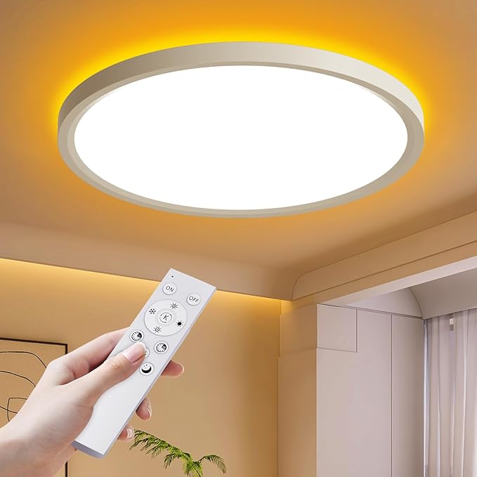 Flush Mount Ceiling Light with Nightlight 12inch,24W 2400LM Dimmable LED Ceiling Lights with Remote & APP Control, 2700K-6000K Adjustable,Perfect for Bedroom/Living Room/Kitchen,Round White (1)