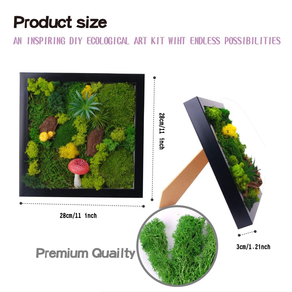ACADOIT Moss ArtsFrame Crafts for Adults, 11" Home Office Decor Living Wall Hanging Decor"