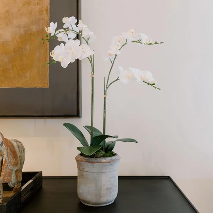 CG Hunter Faux White Orchid Plant, Premium Artificial Indoor Flower Display Stands 24”, Beautiful Sculptural Blooms That Lasts Forever, Grey Planter Pot Included