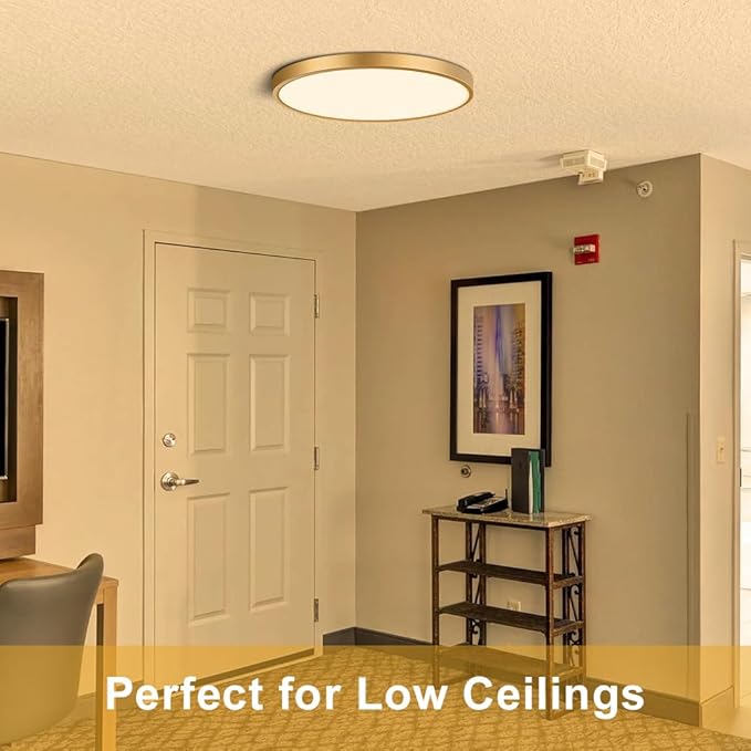 9 Inch LED Flush Mount Ceiling Light Fixture, 3000K Warm White, Low Profile Gold Light Fixture, 18W 1800LM, Round Flat LED Ceiling Light for Closets Bedroom Hallway Stairwells Porch