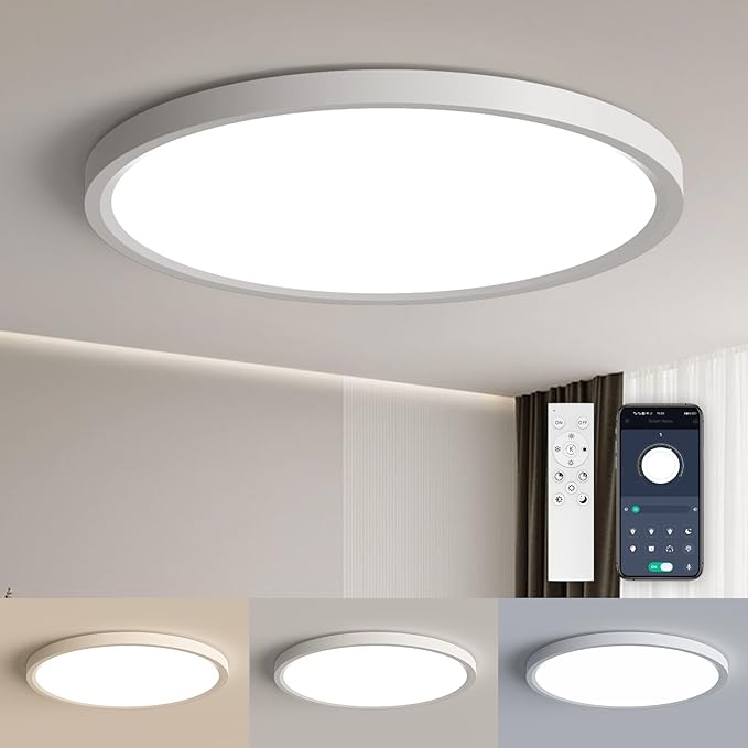 Flush Mount Ceiling Light with Nightlight 12inch,24W 2400LM Dimmable LED Ceiling Lights with Remote & APP Control, 2700K-6000K Adjustable,Perfect for Bedroom/Living Room/Kitchen,Round White (1)