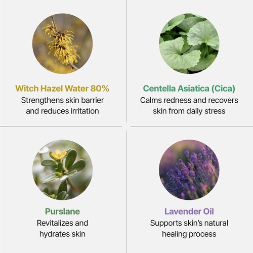 Groundplan Silver Shield Mist - Facial Barrier Toner Spray, 80% Witch Hazel Water, Centella Asiatica for Skin Barrier Repair, Recovery Calming Mist for Sensitive Skin, Korean Skin Care (11.16 fl oz)