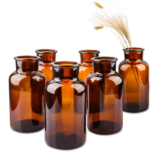 PINIWON Set of 6 Amber Bud Vases, Small Glass Vases, Vintage Medicine Bottles Apothecary Jars with Brush, Flower Vases for Home Decor, Wedding Centerpieces