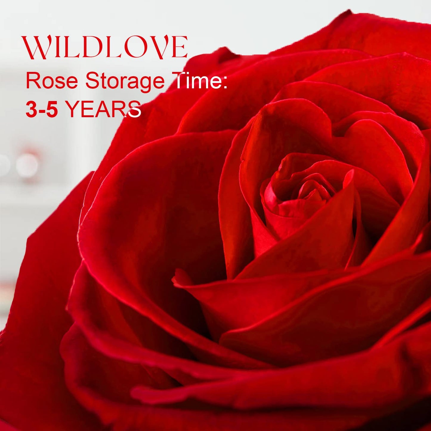 WILDLOVE Forever Real Rose with Heart Necklace, Preserved Flowers Gifts for Mom, Wife and Girlfriend on Christmas, Mother's Day, Birthday for Women