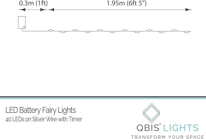 QBIS Warm White Fairy Lights Battery Operated With Timer Mode, 40 Micro LED for Mason Jars, 6.5ft Silver Wire Indoor Use