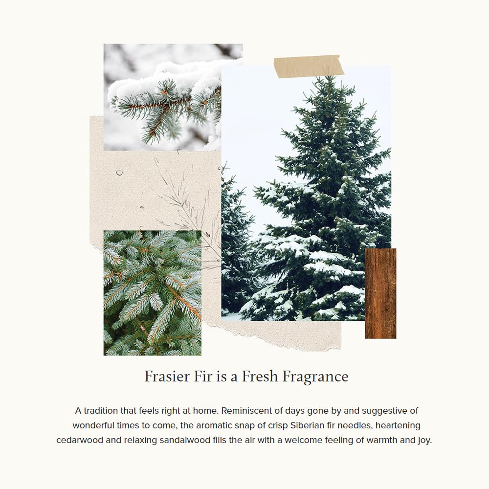 Thymes Frasier Fir Pine Needle Candle – Holiday Candles for Home Scented with Notes of Crisp Siberian Fir, Cedarwood & Sandalwood – Christmas Decor – Christmas Gifts for Women & Men (6.5 oz)