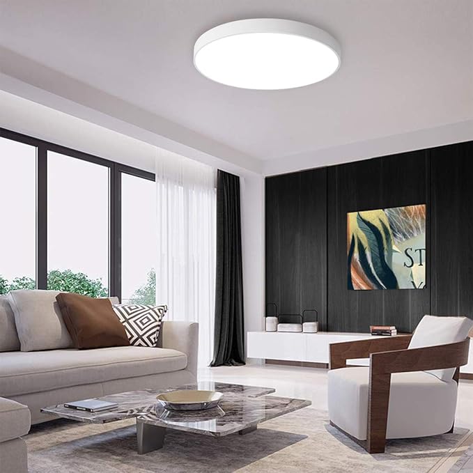 Ganeed LED Ceiling Lights,39W 19.6Inch Modern Ceiling Lamp,Flush Mount Lighting Fixture Round,6500K Cool White Ceiling Lighting for Dining Hallway Living Kitchen Bedroom Room