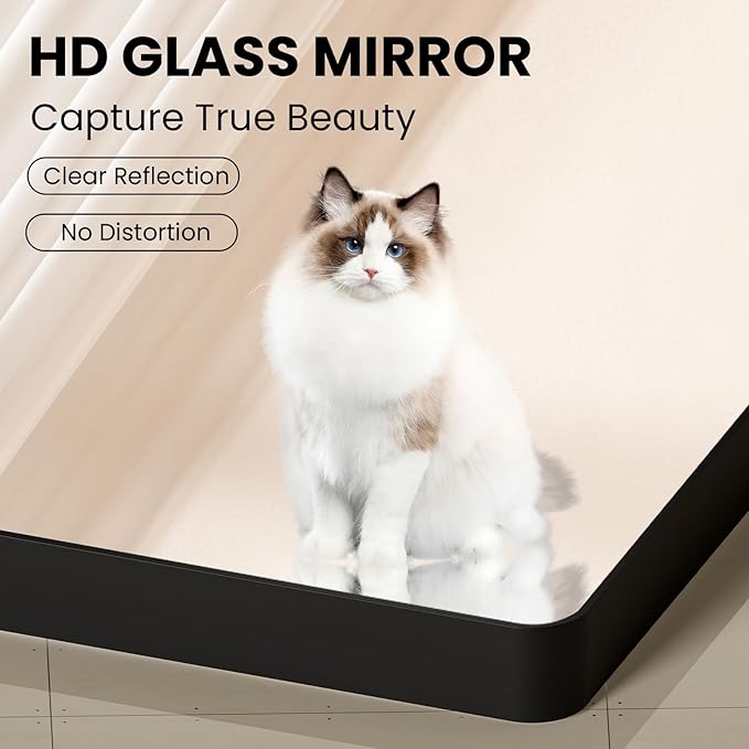 Black Bathroom Mirror 20X30 Inch, Black Metal Framed Mirror for Wall, Rounded Rectangle Matte Bathroom Vanity Mirror with Tempered Glass, Anti-Rust, Horizontal/Vertical