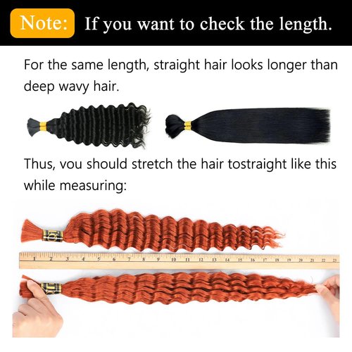 QTHAIR Deep Wave Bulk Human Hair For Braiding No Weft (24"#350 Ginger)16A 100% Unprocessed Brazilian Deep Wave Human Hair Virgin Hair Extensions Two Bundles Micro Braiding