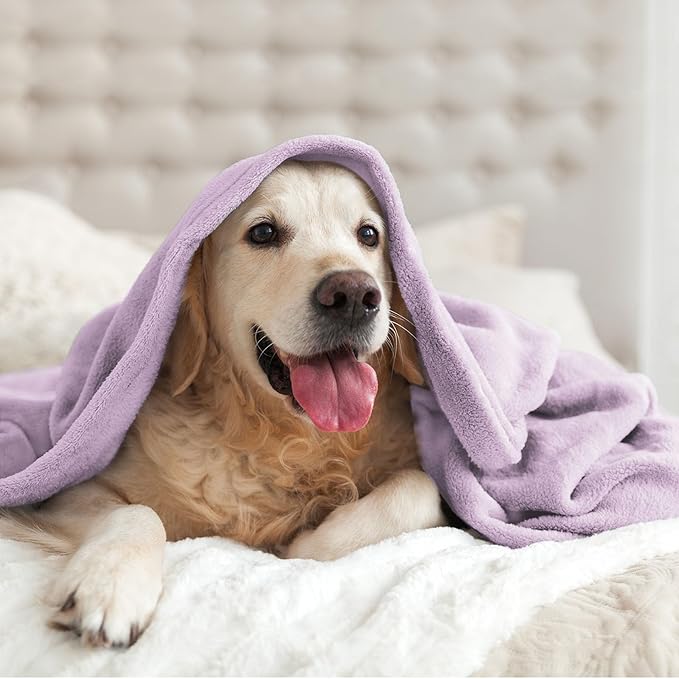 BEDELITE Fleece Blankets Queen Size Lilac Throw Blankets for Bed, Luxury Plush Cozy Fuzzy Blanket 90x90 inches, Super Soft Warm Lightweight Throw Blanket All Seasons Suitable
