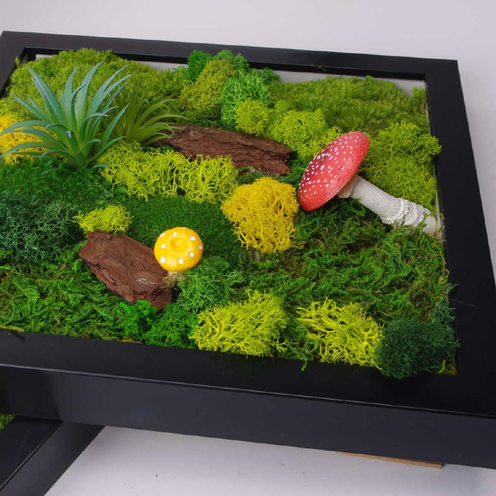ACADOIT Moss ArtsFrame Crafts for Adults, 11" Home Office Decor Living Wall Hanging Decor"