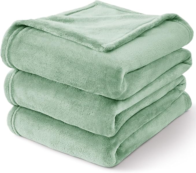 BEDELITE Throw Blanket for Couch and Bed - 300GSM Luxury Plush Cozy Fleece Blanket 50x60 Inches Mint Green, Soft Lightweight Blanket for Travel Camping