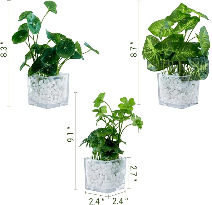 MyGift Artificial Clover and Taro Plants in Clear Glass Vase with Decorative White Stones, Set of 3
