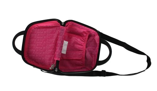 Betsey Johnson Hardside Cosmetic Case - Lightweight Small Size Hardshell Travel Hand Makeup Bag - Adjustable Shoulder Strap - Bag for Women- Multi-Functional Case (Flamingo Strut)