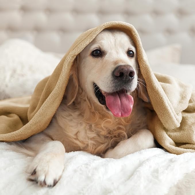 BEDELITE Fleece Blanket Light Camel Throw Blankets for Couch & Bed, Luxury Plush Cozy Fuzzy Blanket 50" x 60", Super Soft Warm Lightweight Throw Blanket for Travel Camping