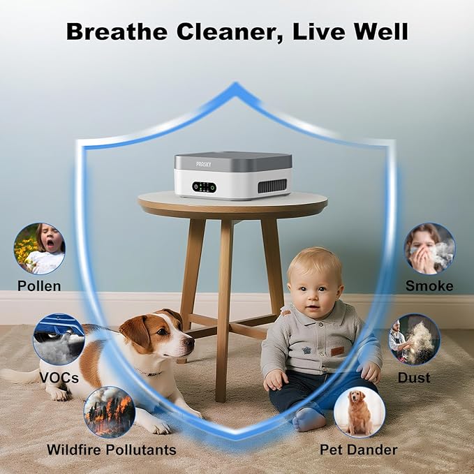 Air Purifiers for Home, H13 True HEPA Filter Captures Smoke Odor Pet Dander, Portable Quiet Car Air Purifier for RV/Desk/Bedroom/Office, Covers up to 600 Ft², Timer