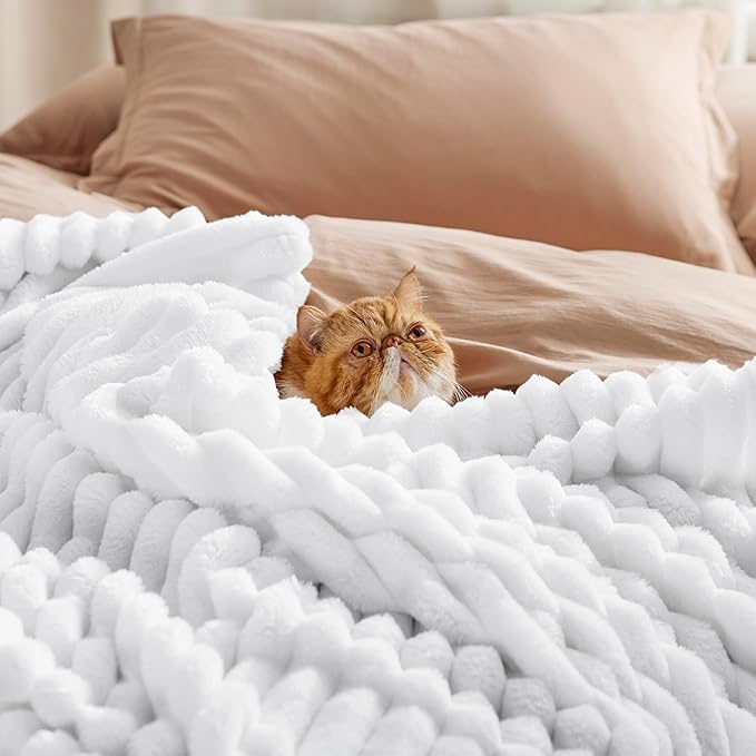 Bedsure GentleSoft Twin Fleece Blanket for Couch - Cozy Soft Blankets for Women, Cute Small Throws for Girls, White, 60x80 Inches
