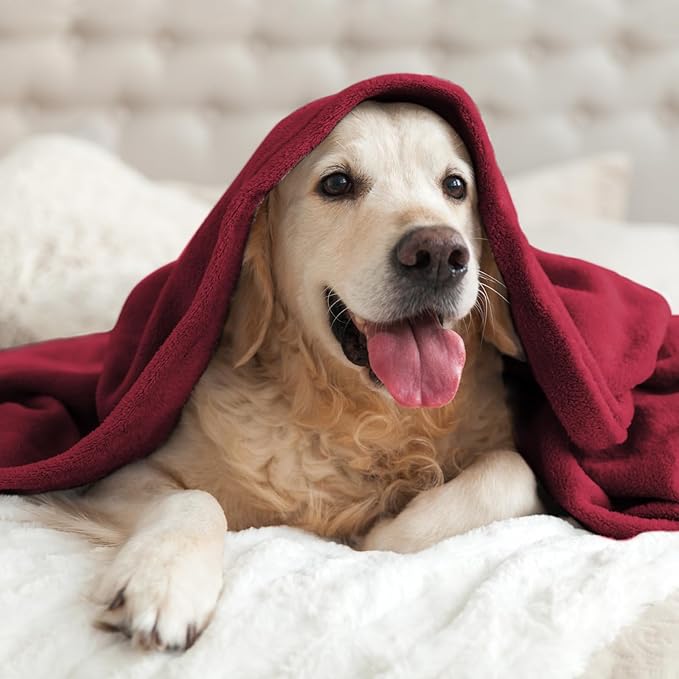 BEDELITE Fleece Blanket Twin Size Burgundy Throw Blankets for Couch & Bed, Luxury Plush Cozy Fuzzy Blanket 60x80 inches, Super Soft Warm Lightweight Throw Blanket for Travel Camping