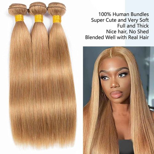 Habiliana Bundles Human Hair 20 22 24 Inch Straight Brown 27 Human Hair Bundles 11A Unprocessed Brazilian Virgin Quick Weave Hair Extensions for Black Women