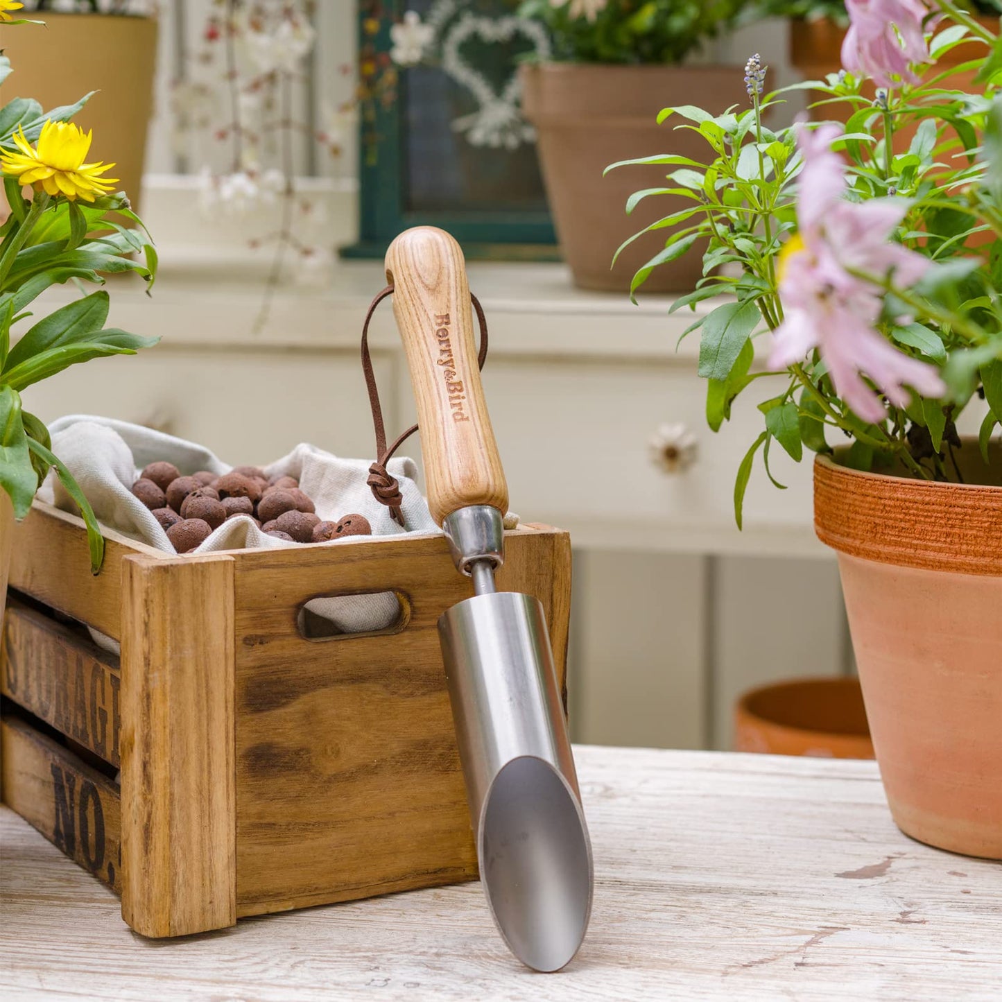Berry&Bird Bulb Planter Tool, 12" Garden Bulb Transplanter Tool, Stainless Steel Manual Hole Digger with Wooden Handle, Transplanting Agricultural Dibble Tool for Seed Planting & Flower Planter