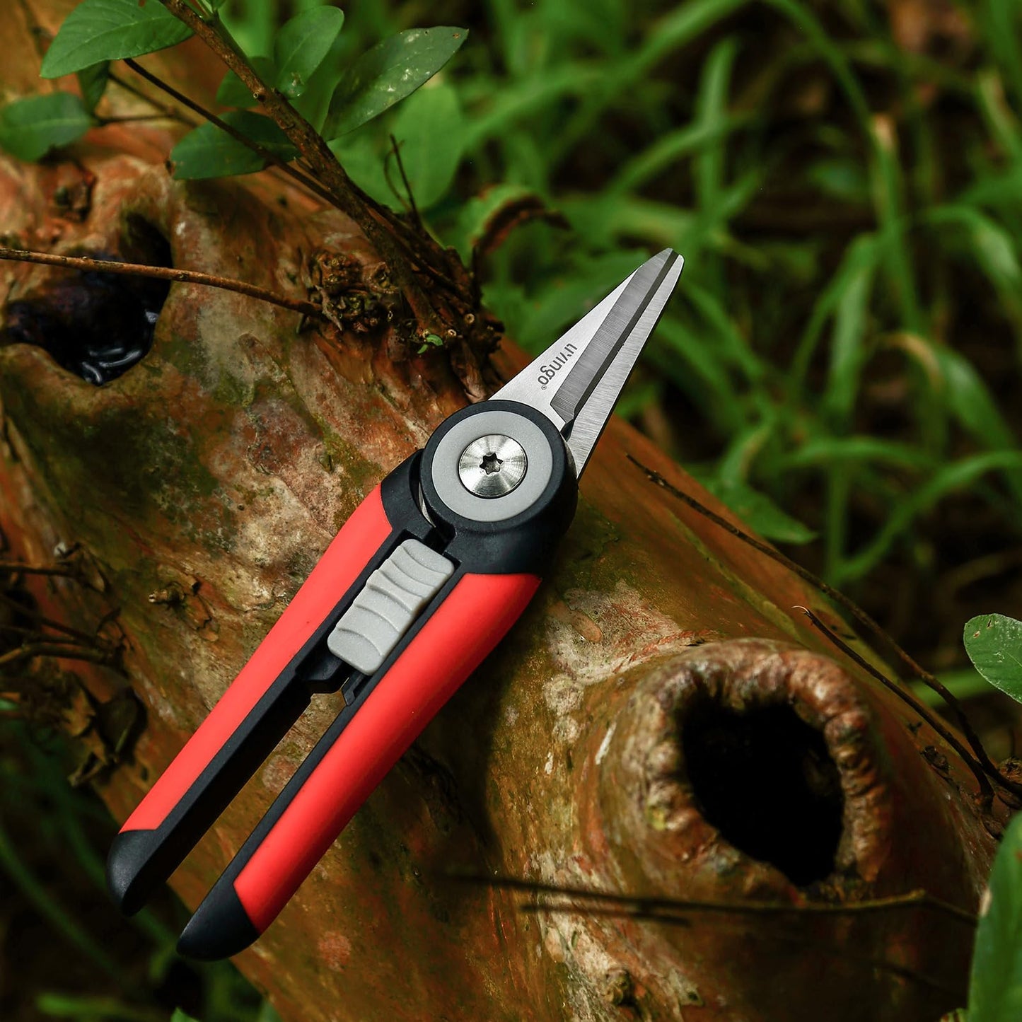LIVINGO Precision Garden Pruning Shears - Straight Blade Floral Scissors with Non-Slip Handle for Trimming, 8.5" Gardening Clippers for Flowers, Herbs, Bonsai & Indoor Plants