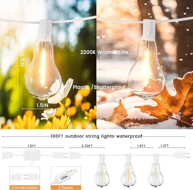 String Lights, 100FT Patio Lights with 64+5 Bulbs(1.5FT Bulbs Spacing), Outdoor String Lights, Remote & Dimmer, 3 Mode Light & Timing, 65PC Mounting Ties for Outside, 2200K (White)