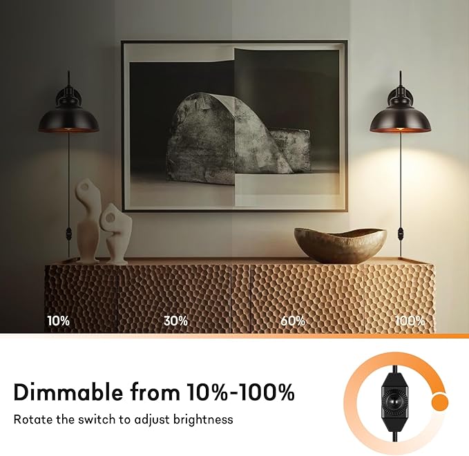 Lightess Dimmable Wall Sconce Plug in, Industrial Farmhouse Sconce with Dimmer On Off Switch, Black Barn Light Gooseneck Light Fixture, OLB11