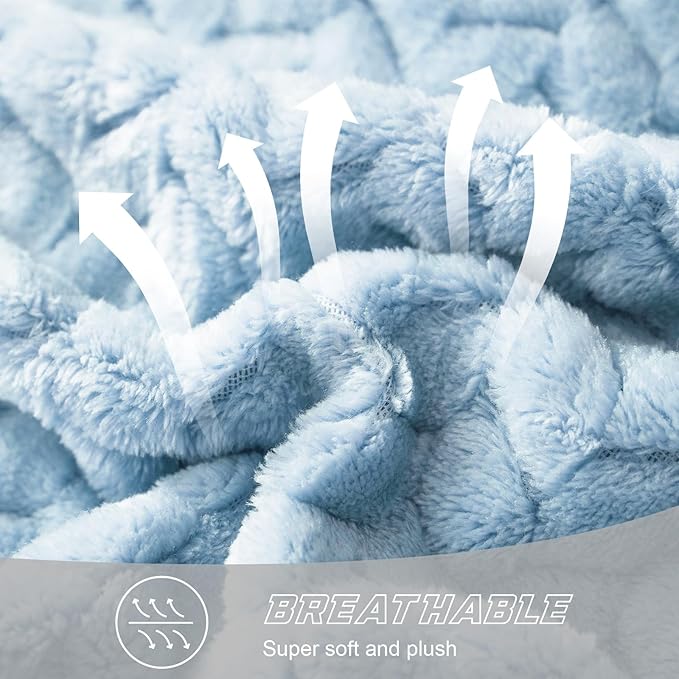 Exclusivo Mezcla Fleece Queen Size Blanket for Bed, 90x90 Inches Soft Cozy Jacquard Flannel Blankets, Lightweight Fuzzy Plush Warm for Winter, Light Blue
