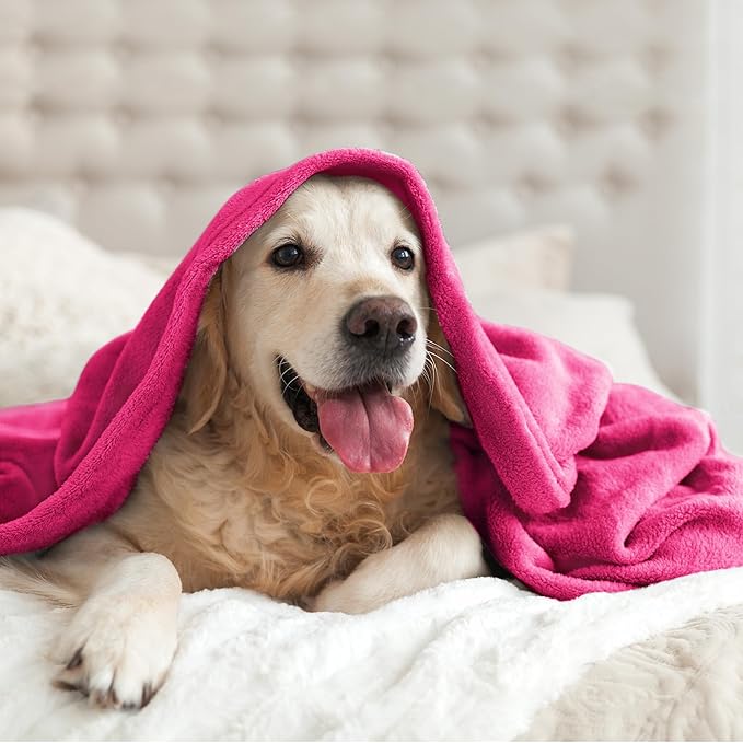 BEDELITE Fleece Blanket King Size Blankets for Bed, Luxury Plush Cozy Fuzzy Blanket 108x90 inches, Super Soft Warm Lightweight Throw Blanket All Seasons Suitable, Hot Pink
