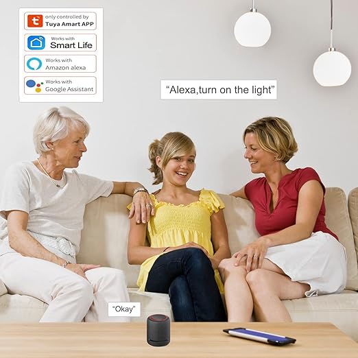 Tuya WiFi Smart Plug Works with Alexa Google Assistant IFTTT for Voice Control Mini Smart Outlet Plug with Timer Function,No Hub Required,Only 2.4GHz Wi-Fi,FCC/Rohs Listed Socket(2 Pack)
