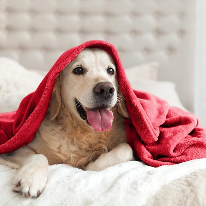 BEDELITE Fleece Blanket King Size Blankets for Bed, Luxury Plush Cozy Fuzzy Blanket 108x90 inches, Super Soft Warm Lightweight Throw Blanket All Seasons Suitable, Red